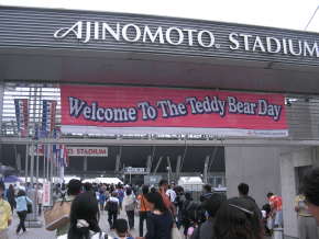 Welcome To The Teddy Bear Day