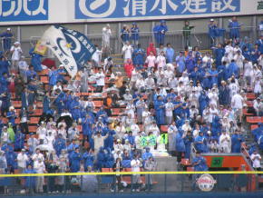 雨の中応援する横浜ベイスターズファンたち