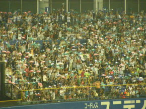 東京ヤクルトファンたちのビニール傘の応援